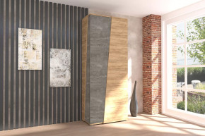 Аллегро-10 Шкаф двухдверный Диал в Муравленко - muravlenko.mebel-tymen.ru | фото