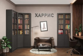 Библиотека Харрис в Муравленко - muravlenko.mebel-tymen.ru | фото