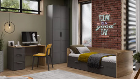 Детская «Стелла» Серый вулкан, Фон Серый, Яблоня Беллуно в Муравленко - muravlenko.mebel-tymen.ru | фото