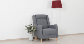 Дилан Кресло для отдыха арт. ТК 423 в Муравленко - muravlenko.mebel-tymen.ru | фото