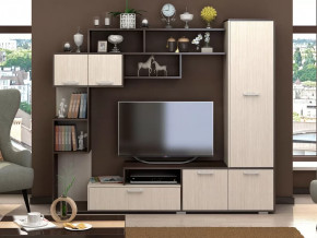 Гостиная Капри венге-дуб белфорт в Муравленко - muravlenko.mebel-tymen.ru | фото