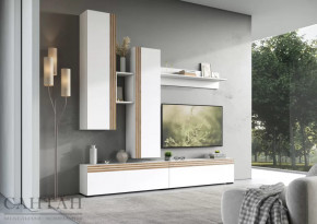 Гостиная НАО-Моно №1 в Муравленко - muravlenko.mebel-tymen.ru | фото