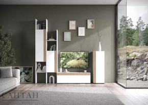 Гостиная НАО-Моно №3 в Муравленко - muravlenko.mebel-tymen.ru | фото