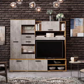 Гостиная Трамп ЦС-05 в Муравленко - muravlenko.mebel-tymen.ru | фото