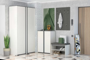 Иннэс-12 Прихожая №2 Диал в Муравленко - muravlenko.mebel-tymen.ru | фото