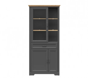 JASMIN шкаф REG1W2D1S (Графит/ Дуб артизан) в Муравленко - muravlenko.mebel-tymen.ru | фото