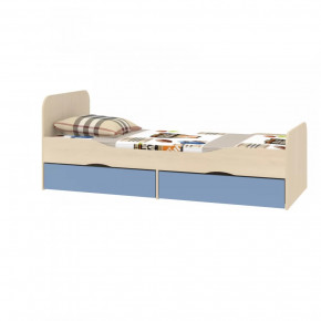 Кровать подростковая Дельта-19 в Муравленко - muravlenko.mebel-tymen.ru | фото