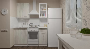 Кухонный гарнитур Алина мини 1000 мм в Муравленко - muravlenko.mebel-tymen.ru | фото