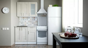 Кухонный гарнитур Лира мини 1000 мм в Муравленко - muravlenko.mebel-tymen.ru | фото