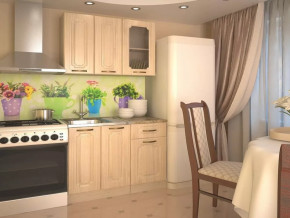 Кухонный прямой гарнитур 2, 1000 мм, Грецкий орех в Муравленко - muravlenko.mebel-tymen.ru | фото