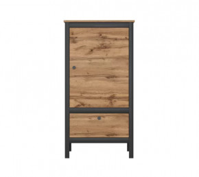 LOFT шкаф REG1D1S/60 (Дуб вотан/Черный) в Муравленко - muravlenko.mebel-tymen.ru | фото