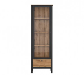 LOFT шкаф REG1W1S (Дуб вотан/Черный) в Муравленко - muravlenko.mebel-tymen.ru | фото