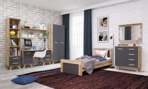 Молодёжная №ДКС-1 "Вега Скандинавия" Дуб каньон/Силк флай в Муравленко - muravlenko.mebel-tymen.ru | фото