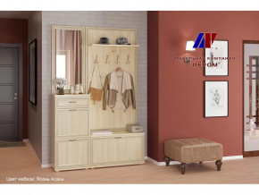 Прихожая Карина набор 2 в Муравленко - muravlenko.mebel-tymen.ru | фото