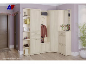 Прихожая Карина набор 5 в Муравленко - muravlenko.mebel-tymen.ru | фото