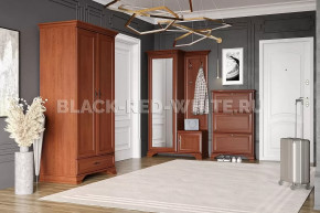 Прихожая Kentaki каштан в Муравленко - muravlenko.mebel-tymen.ru | фото