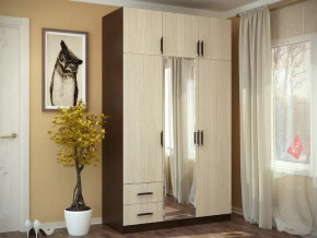 Шкаф 3-х створчатый с перегородкой венге/лоредо БТС в Муравленко - muravlenko.mebel-tymen.ru | фото