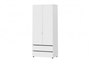 Шкаф двухстворчатый с двумя ящиками Токио в Муравленко - muravlenko.mebel-tymen.ru | фото