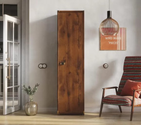 Шкаф JREG 1d Дуб саттер ИНДИАНА в Муравленко - muravlenko.mebel-tymen.ru | фото