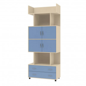 Шкаф комбинированный Дельта-5.03 в Муравленко - muravlenko.mebel-tymen.ru | фото