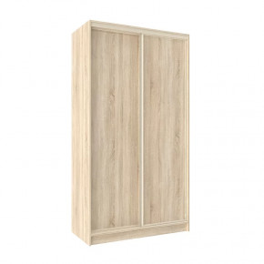 Шкаф-купе 1200 Домашний лдсп/лдсп в Муравленко - muravlenko.mebel-tymen.ru | фото