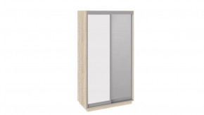 Шкаф-купе 2-х дверный «Румер» в Муравленко - muravlenko.mebel-tymen.ru | фото