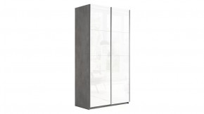 Шкаф-купе 2-х дверный «Траст» в Муравленко - muravlenko.mebel-tymen.ru | фото