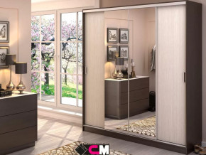 Шкаф-купе Альянс 2000 в Муравленко - muravlenko.mebel-tymen.ru | фото