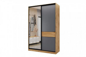 Шкаф-купе SLIM двухдверный BS15-6.ZD в Муравленко - muravlenko.mebel-tymen.ru | фото