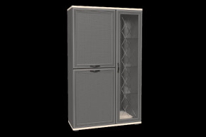 Шкаф многоцелевой ШК-1082 Карина в Муравленко - muravlenko.mebel-tymen.ru | фото