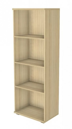 Шкаф многоцелевой ШК-1088 Карина в Муравленко - muravlenko.mebel-tymen.ru | фото