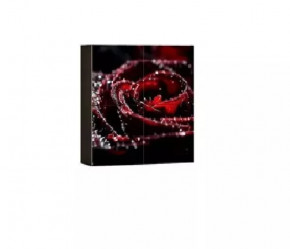 Шкаф навесной Киото 904 К (фотопечать) в Муравленко - muravlenko.mebel-tymen.ru | фото