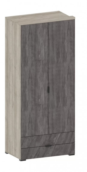 Шкаф Шаде ШК-2905 в Муравленко - muravlenko.mebel-tymen.ru | фото