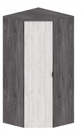 Шкаф Шаде ШК-2910 в Муравленко - muravlenko.mebel-tymen.ru | фото