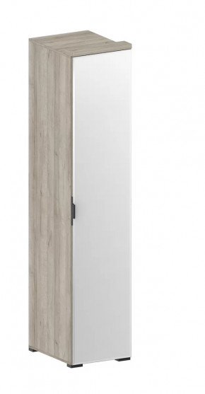 Шкаф Шаде ШК-2912 в Муравленко - muravlenko.mebel-tymen.ru | фото