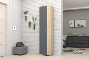 Шкаф ШК-01 Монако в Муравленко - muravlenko.mebel-tymen.ru | фото