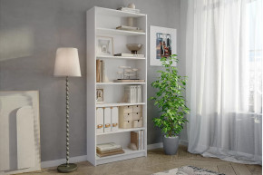 Стеллаж Бильд в Муравленко - muravlenko.mebel-tymen.ru | фото