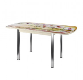 Стол Бостон-3 раздвижной, фотопечать Орхидея на воде/венге/хром брифинг в Муравленко - muravlenko.mebel-tymen.ru | фото