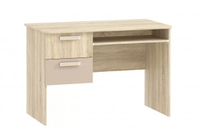 Стол для компьютера НМ 009.19-05 М2 Акварель в Муравленко - muravlenko.mebel-tymen.ru | фото