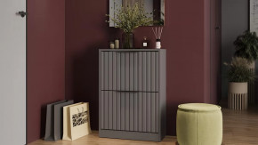 Тумба для обуви «Хилтон» Исп.2 Серый графит, Графит матовый в Муравленко - muravlenko.mebel-tymen.ru | фото