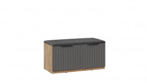 Тумба для обуви «Хилтон» Исп.2.2 Дуб Крафт золотой, Графит матовый в Муравленко - muravlenko.mebel-tymen.ru | фото