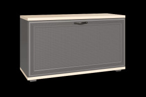 Тумба для обуви ТБ-1041 Карина в Муравленко - muravlenko.mebel-tymen.ru | фото