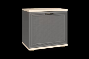 Тумба для обуви ТБ-1042 Карина в Муравленко - muravlenko.mebel-tymen.ru | фото