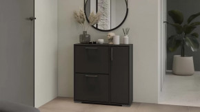 Тумба для обуви Тип 15 Антрацит в Муравленко - muravlenko.mebel-tymen.ru | фото