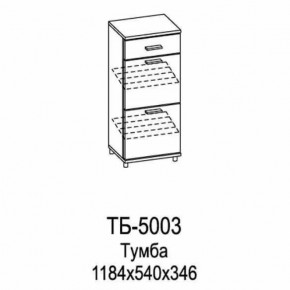 Тумба ТБ-5003 Грейс в Муравленко - muravlenko.mebel-tymen.ru | фото