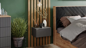 Тумба универсальная Тип 1 Графит Серый в Муравленко - muravlenko.mebel-tymen.ru | фото