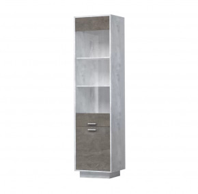 ЭГО ПС-1 Пенал с 2 дверьми 500 мм Диал в Муравленко - muravlenko.mebel-tymen.ru | фото